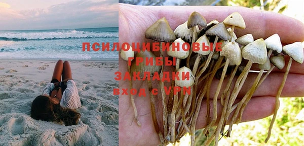 стафф Волосово