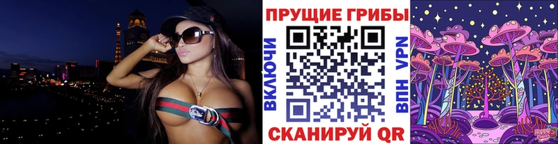 MEGA сайт  наркошоп  Волжск  Псилоцибиновые грибы Psilocybe 